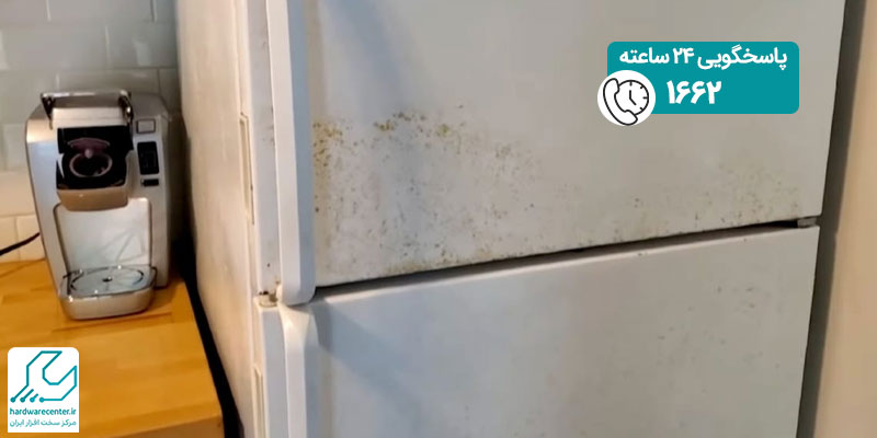 پوسیدگی درب یخچال